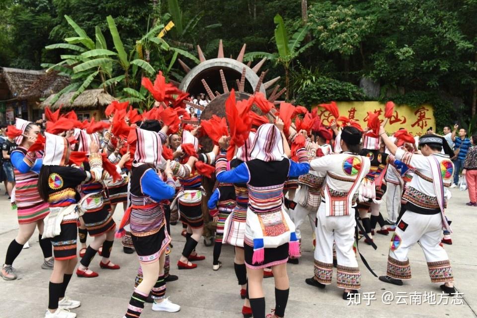 56个民族的“最后一枝花”——云南特有民族:基诺族 | 美丽云南第三季 - 知乎