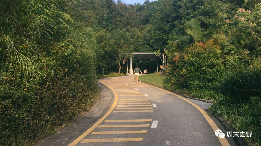 深圳周末户外徒步线路，银湖山郊野公园 - 知乎