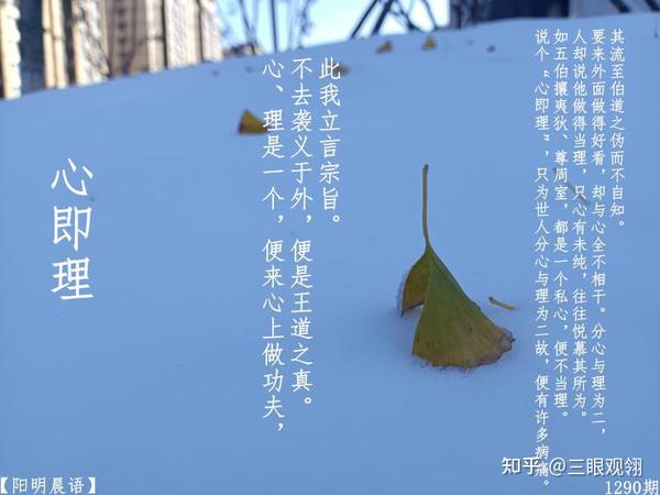 从三体来看一代圣人王阳明的传世之学是为何是“唯心主义”的心学 - 知乎