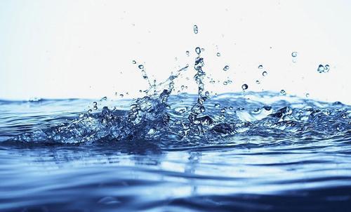 家有出马仙5 - 知乎