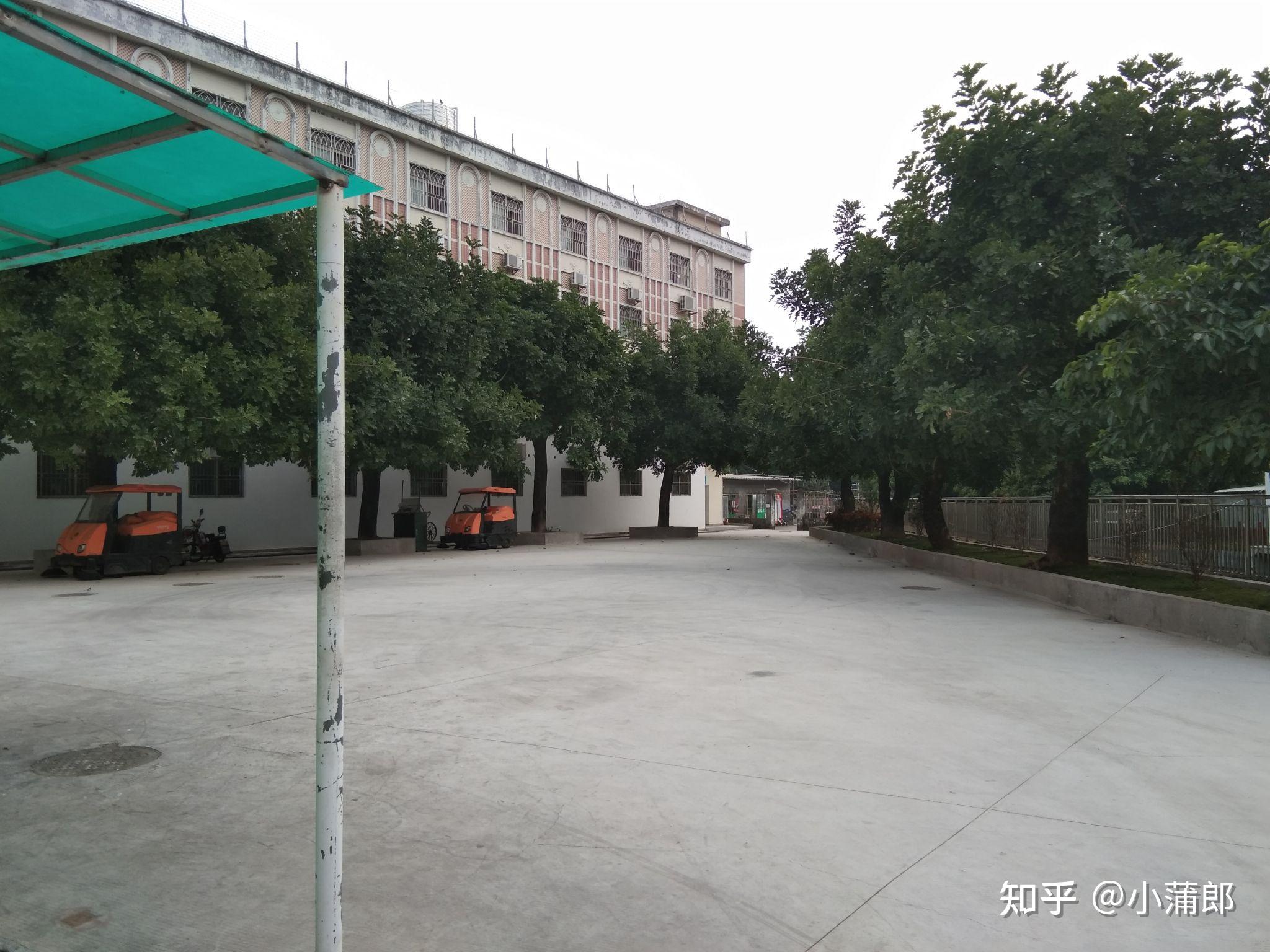 深圳康桥书院怎么样?环境学风?