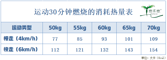 影响运动中热量燃烧的最重要因素主要包括