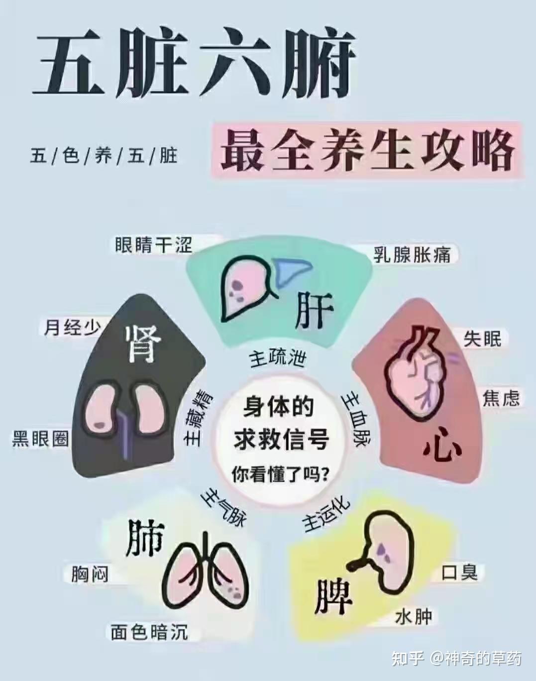 五色入五脏,五色养生法,滋养五脏,扶助正气,附赠五行归类表(建议收藏) - 知乎