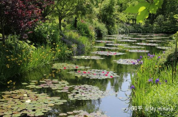 玩转日本自由行 38 高知县 知乎