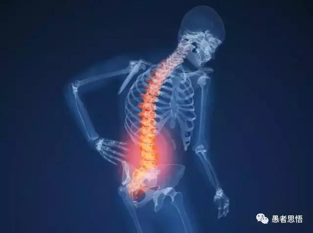 疯狂人类进化史解读3直立行走带来的好处与烦恼