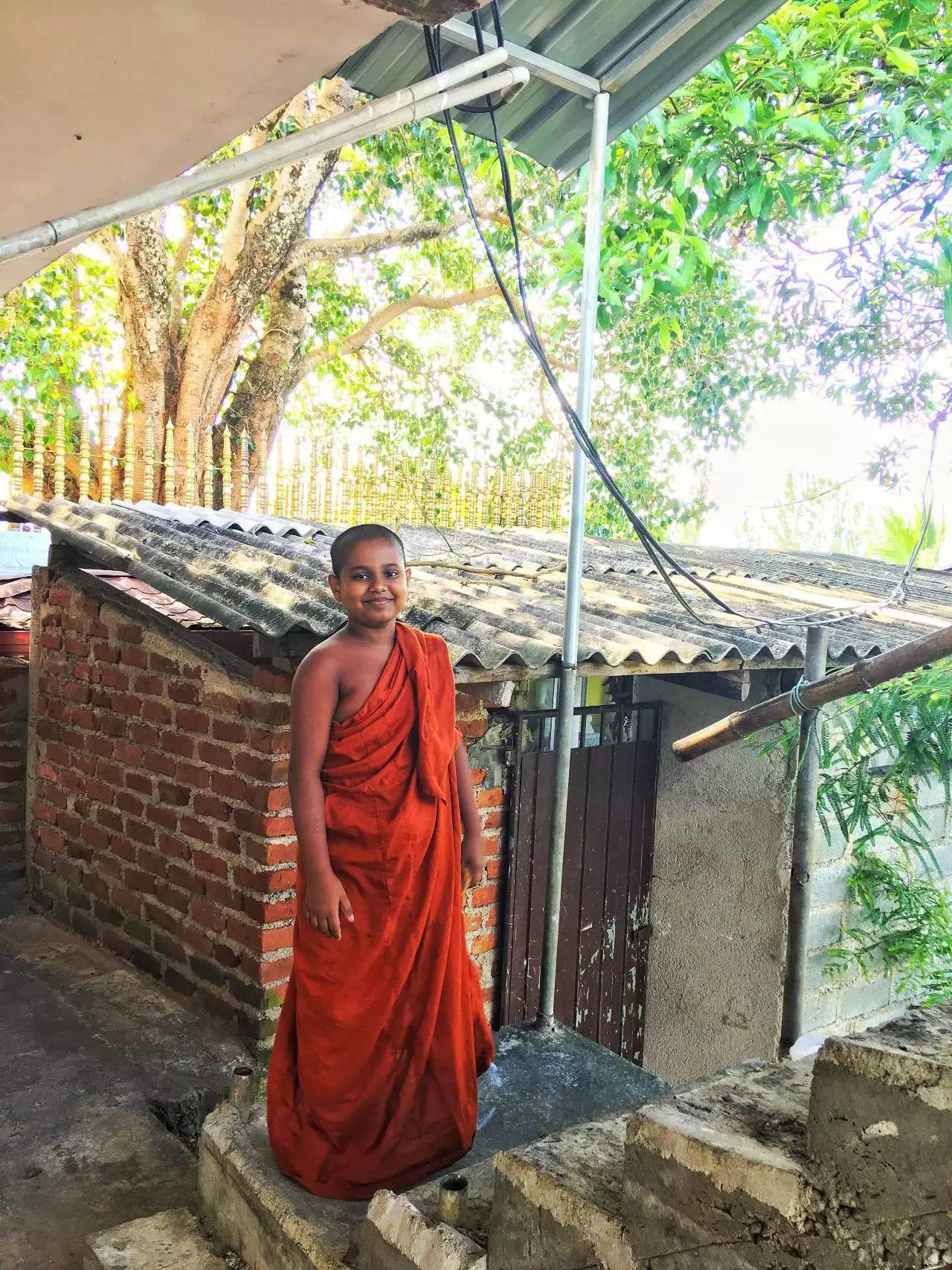 想要做一个斯里兰卡国际志愿者,怎么申请?