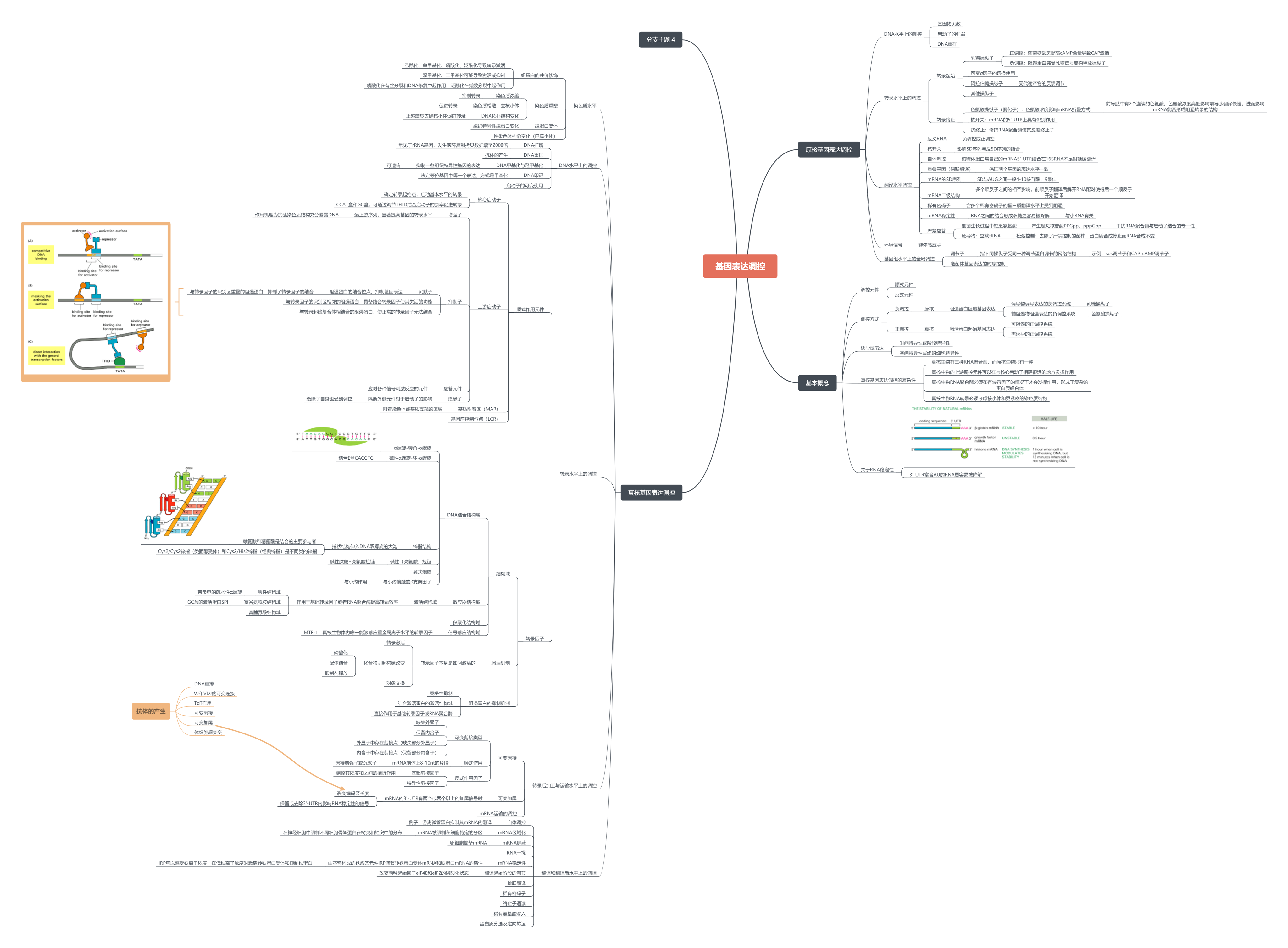 知识树分子生物学基础知识要点从基因组到生命体