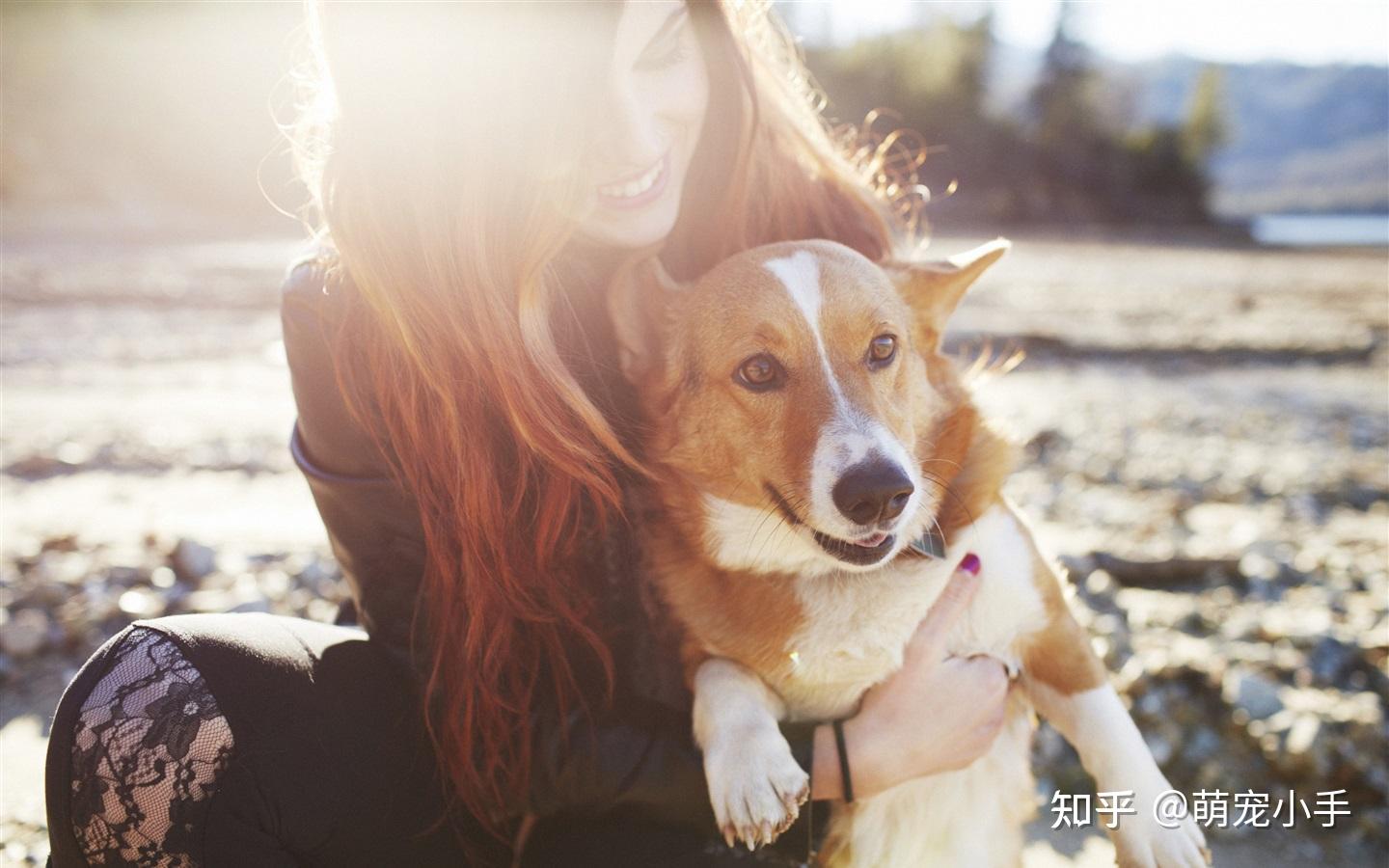 小女孩和她的金毛狗狗|摄影|人像|梁斯楠 - 原创作品 - 站酷 (ZCOOL)