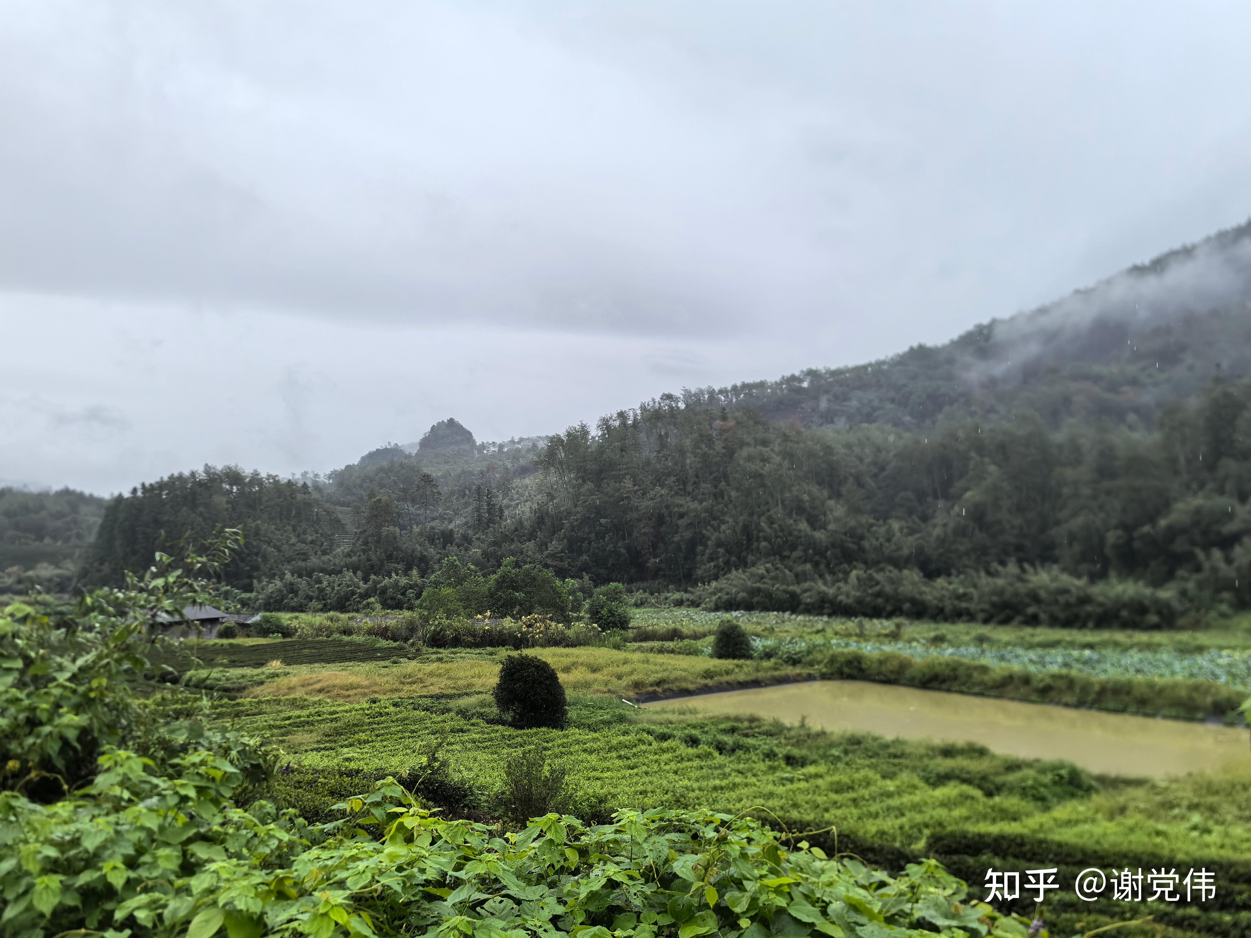 什么样的人不适合当项目经理? - 知乎