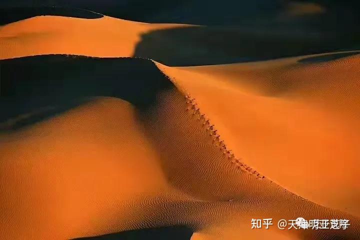 沙漠取水的故事养老准备时至今日,根据市面产品特点和人们的需求,年金