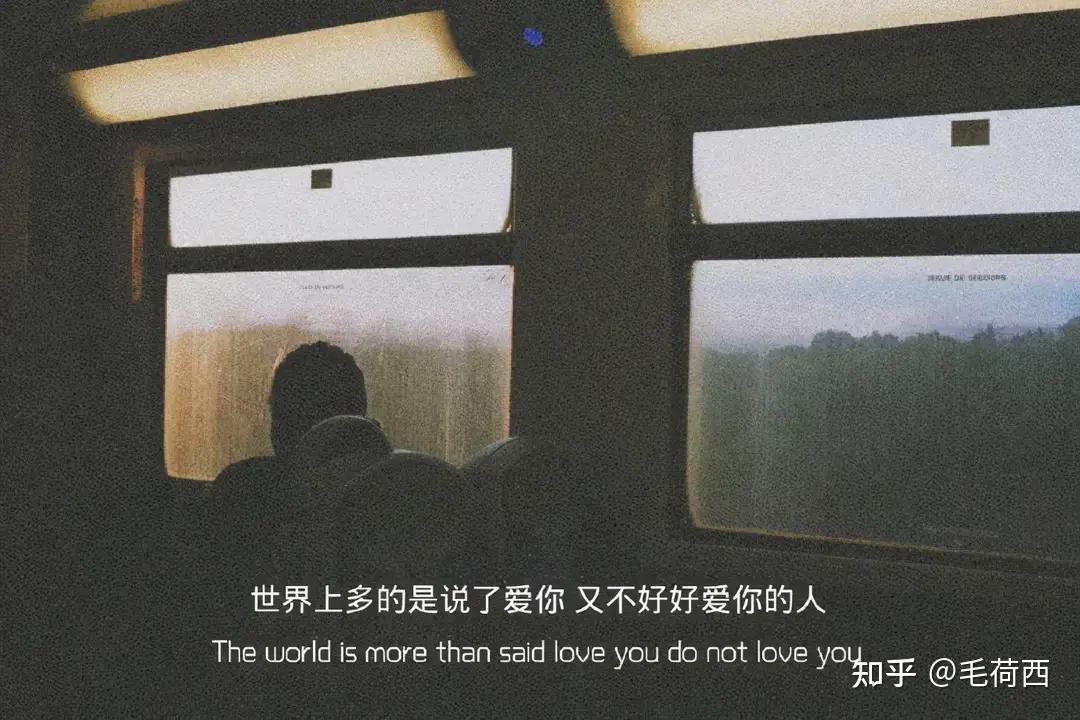 喜玫瑰文案沙雕,喜欢玫瑰的文案