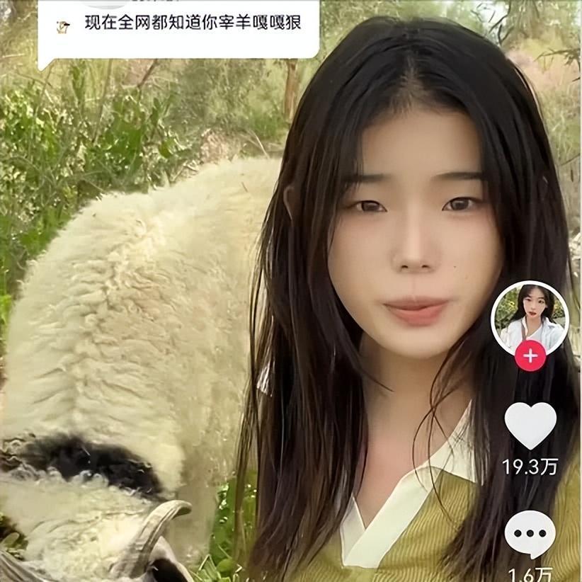 00后牧羊女8分钟宰1只羊 网友：温柔的屠夫 - 知乎
