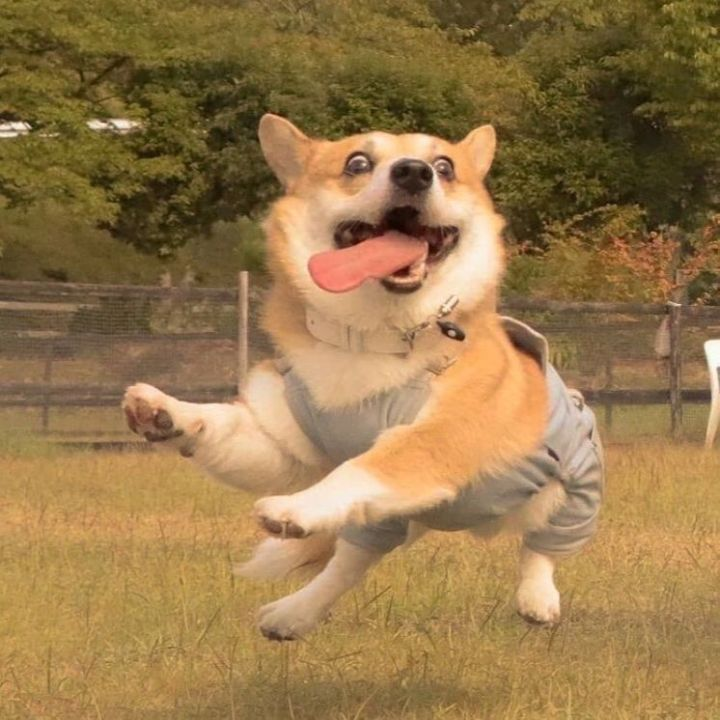 有没有搞怪又可爱的微信头像?