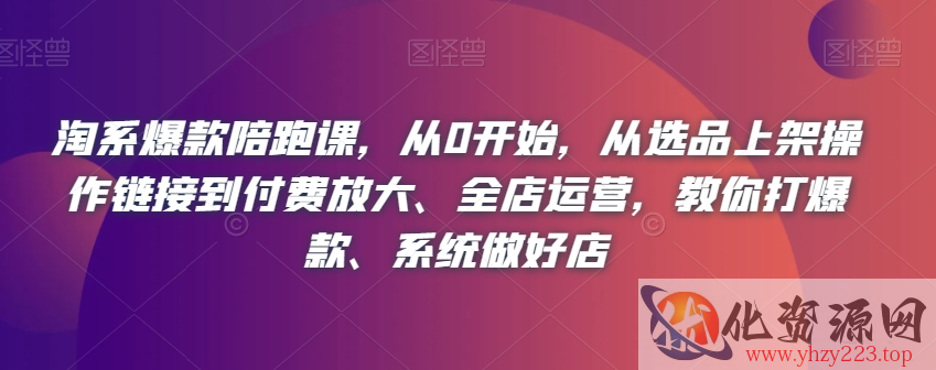 淘系爆款陪跑课，从0开始，从选品上架操作链接到付费放大、全店运营，教你打爆款、系统做好店