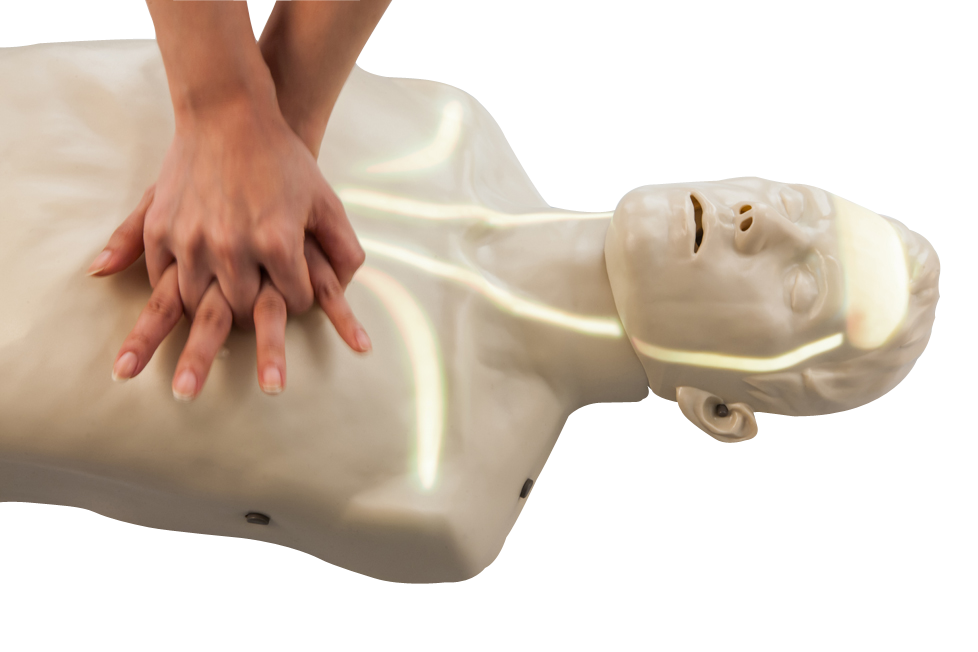 如果能提前24小时得知会猝死突然离开这个世界,你想做什么? - 知乎