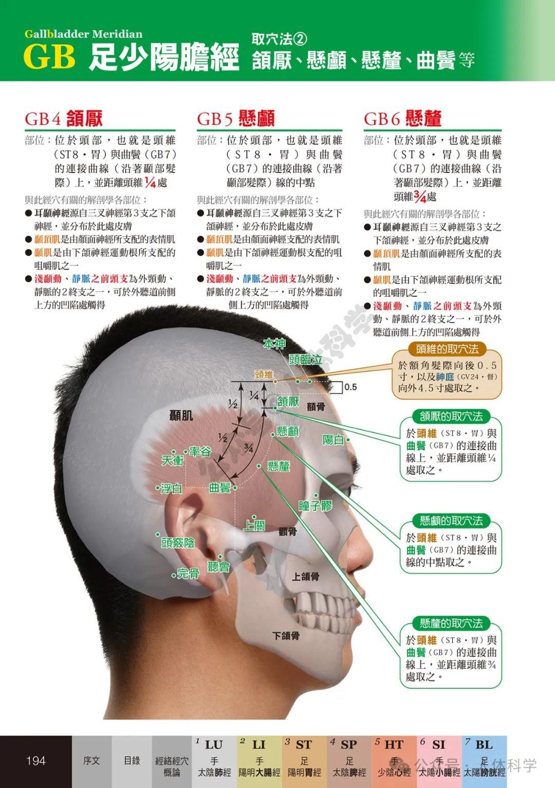 【经穴科学】中医解剖学全身穴位高清图示④ - 知乎