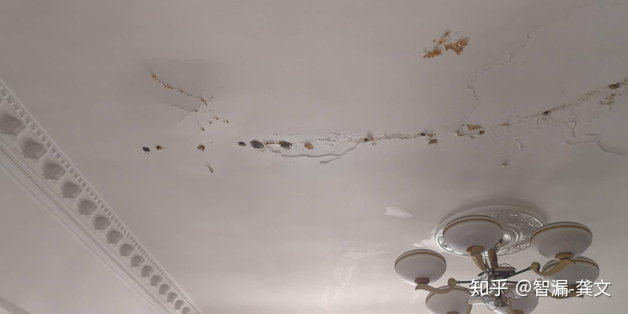 我家房子最近漏水了,有没有什么比较好的防水材料或者服务可以修的?