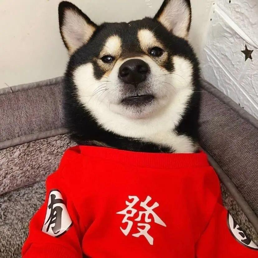 头像丨男生明白太多道理反而失去这个年纪该有的快乐