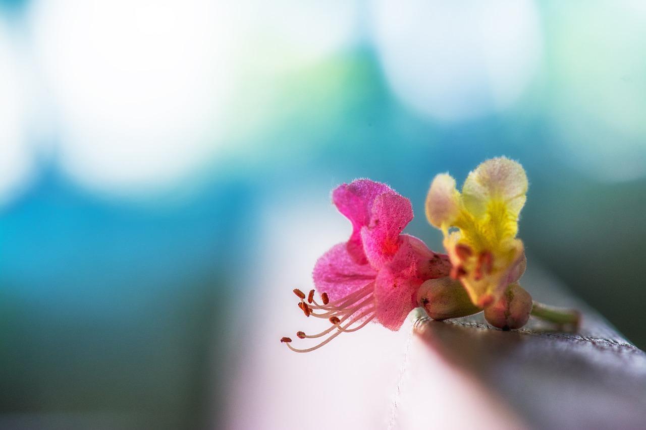 2. 温和家居色彩