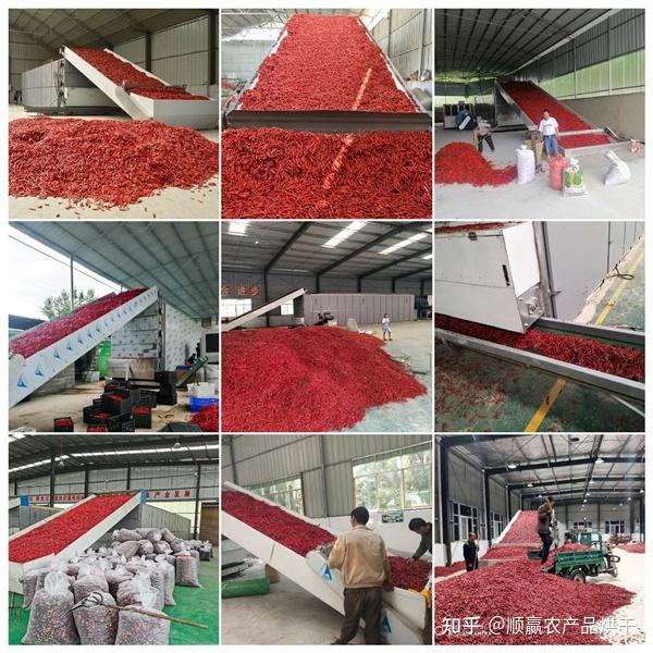辣椒粉碎机械设备价格_粉碎轮胎设备多少钱一台_塑料,壁纸,用什么设备粉碎