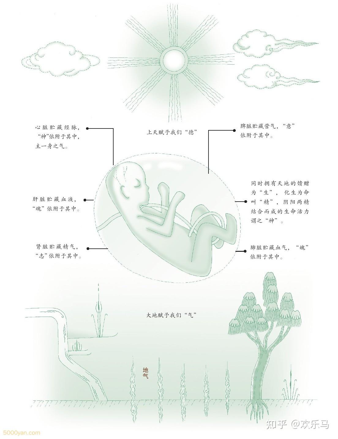 什么叫作德、气、生、精、神、魂、魄、心、意、志、思、虑、智? - 知乎