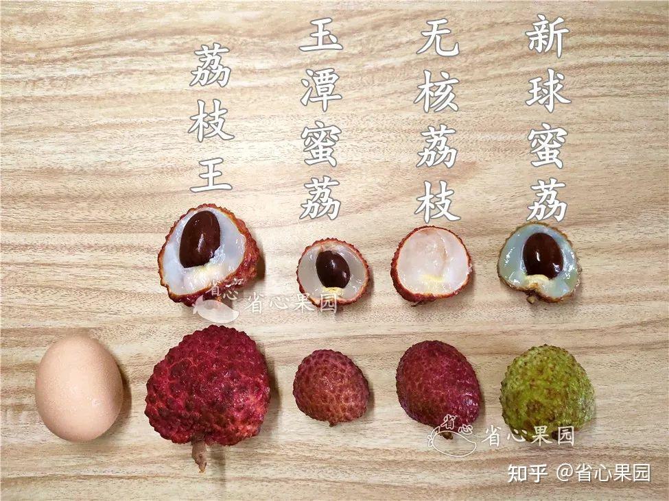 2022全国好吃的荔枝品种排名:看完这篇,买荔枝不再踩坑 - 知乎