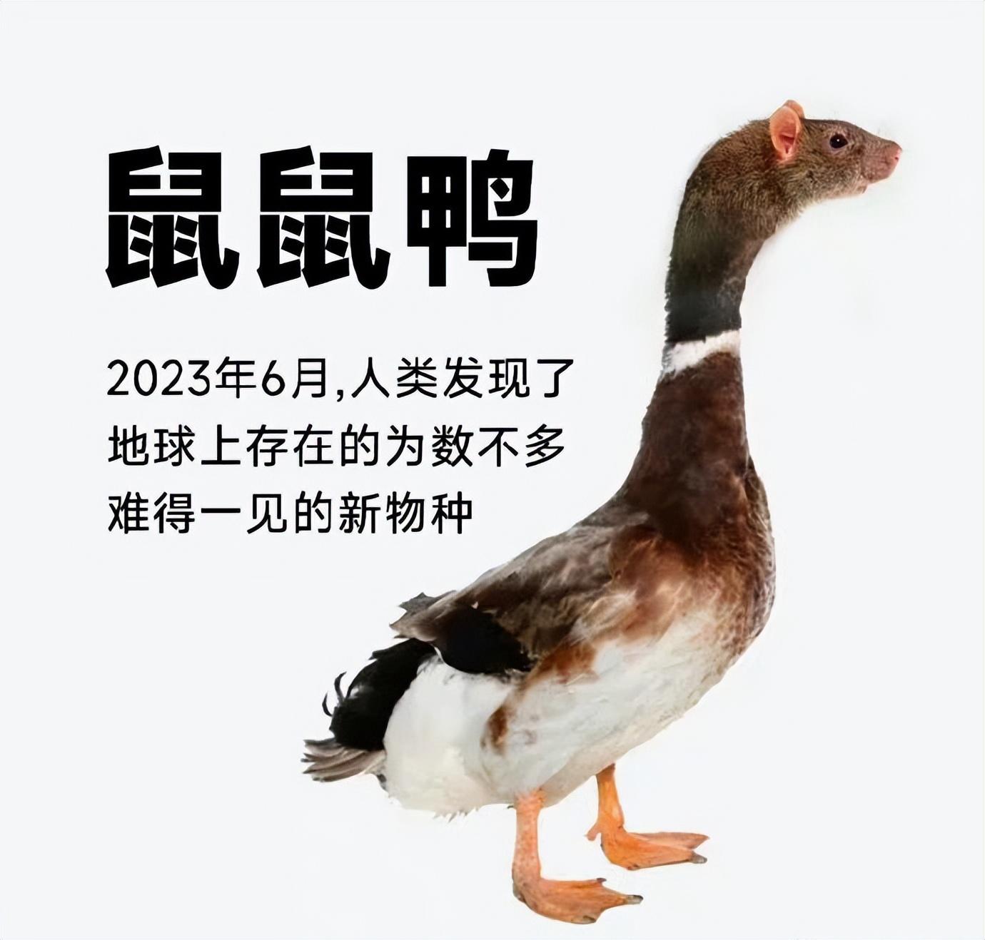 绝味鸭脖发布“性暗示”广告涉嫌违法，这还是你认识的鸭脖吗？