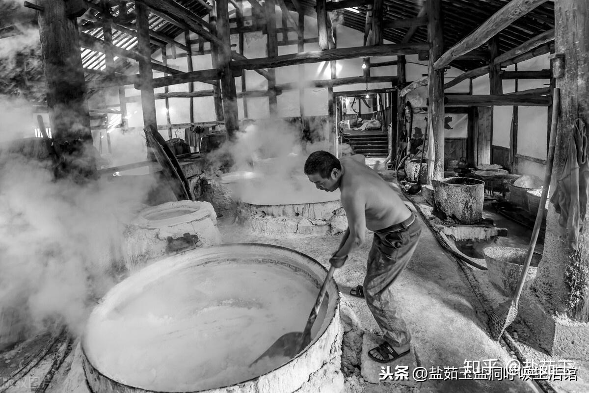 盐系家族海盐井盐岩盐矿盐