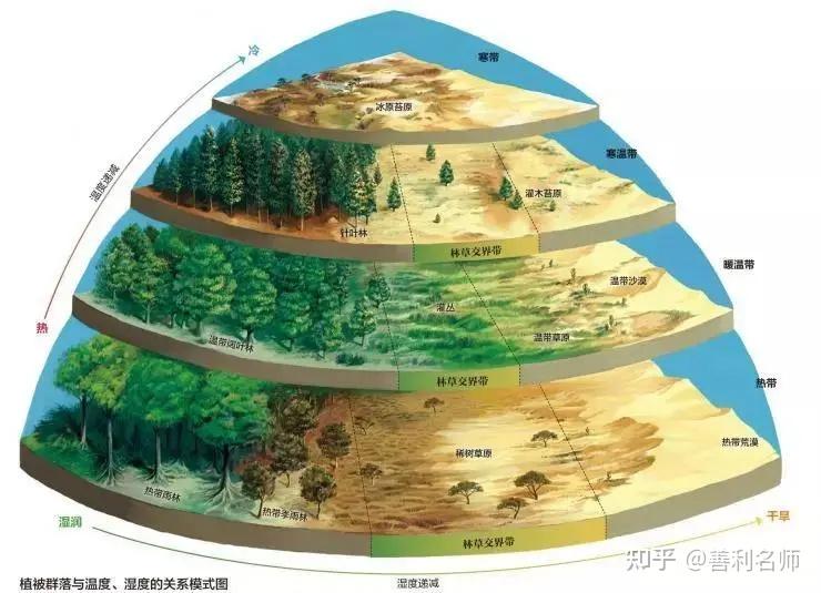 67编辑(于澎涛,2002)林线是指山地垂直自然带谱中的森林分布的上限