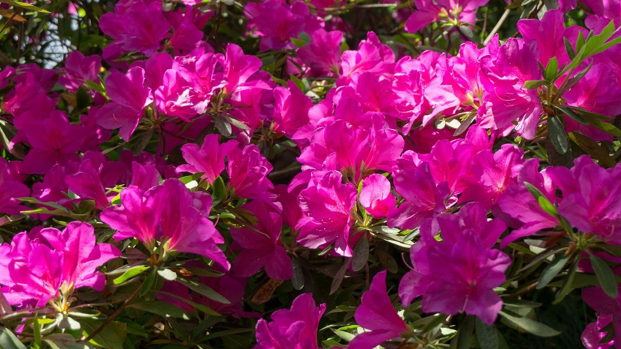 装修风格现代简约？