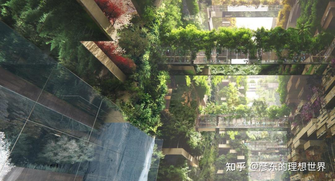 超级未来城市：沙特阿拉伯 Neom （未来生存的大基建！） - 知乎