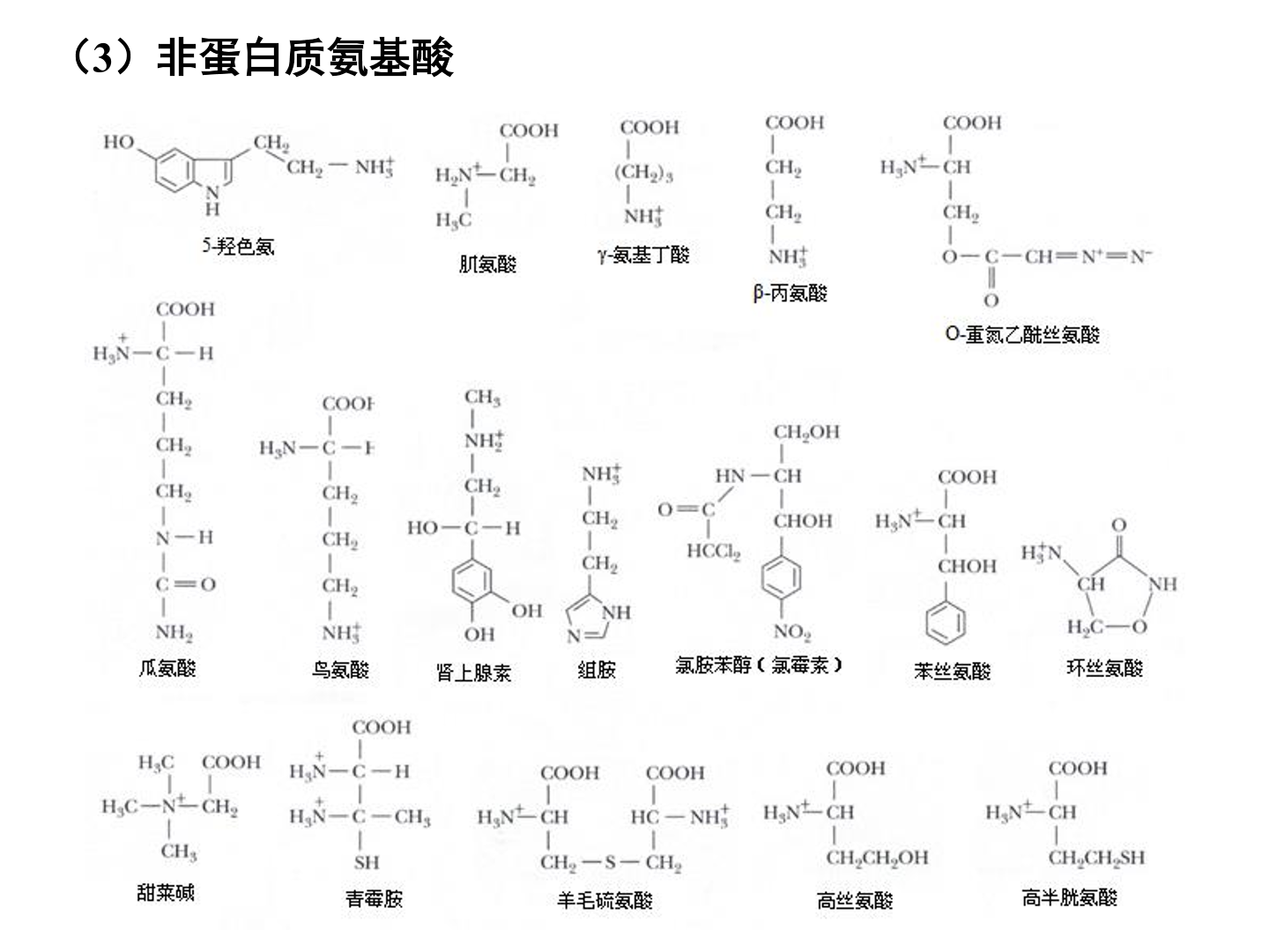 结构生物化学笔记-蛋白质与氨基酸-待更新 - 知乎