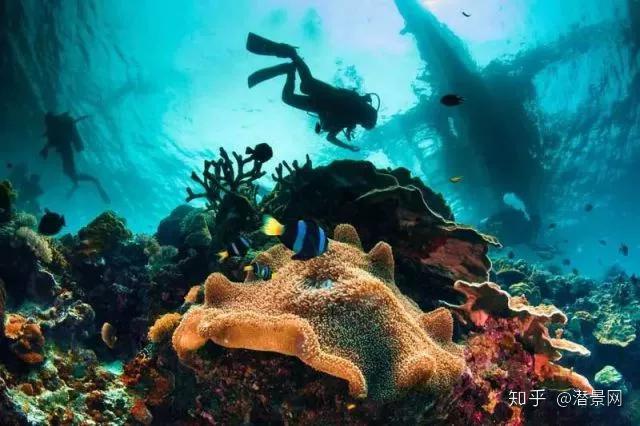 对于菲律宾潜水岛屿你了解了多少?