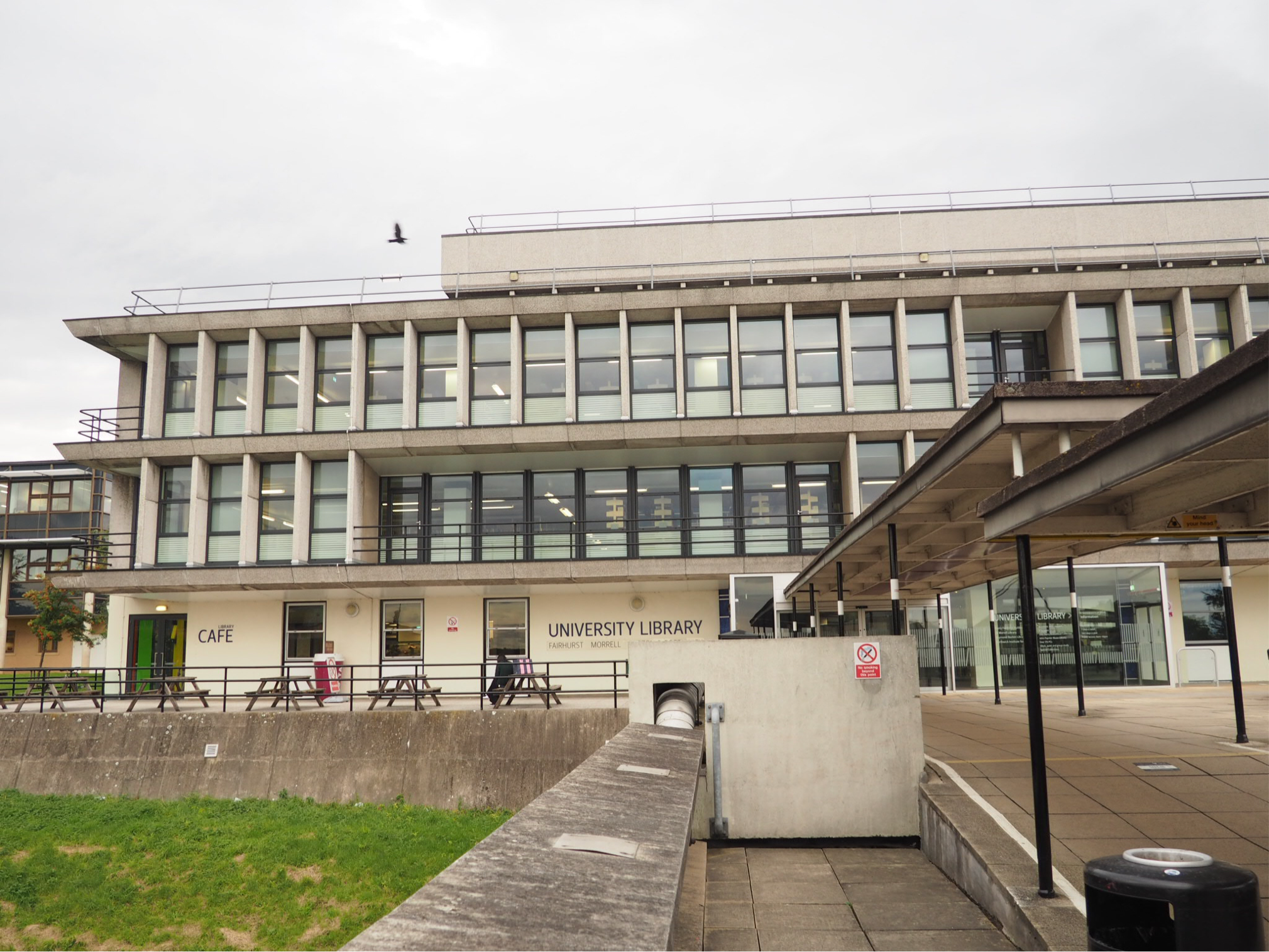 在约克大学就读是什么体验学习住宿旅行你想知道的学姐来告诉你