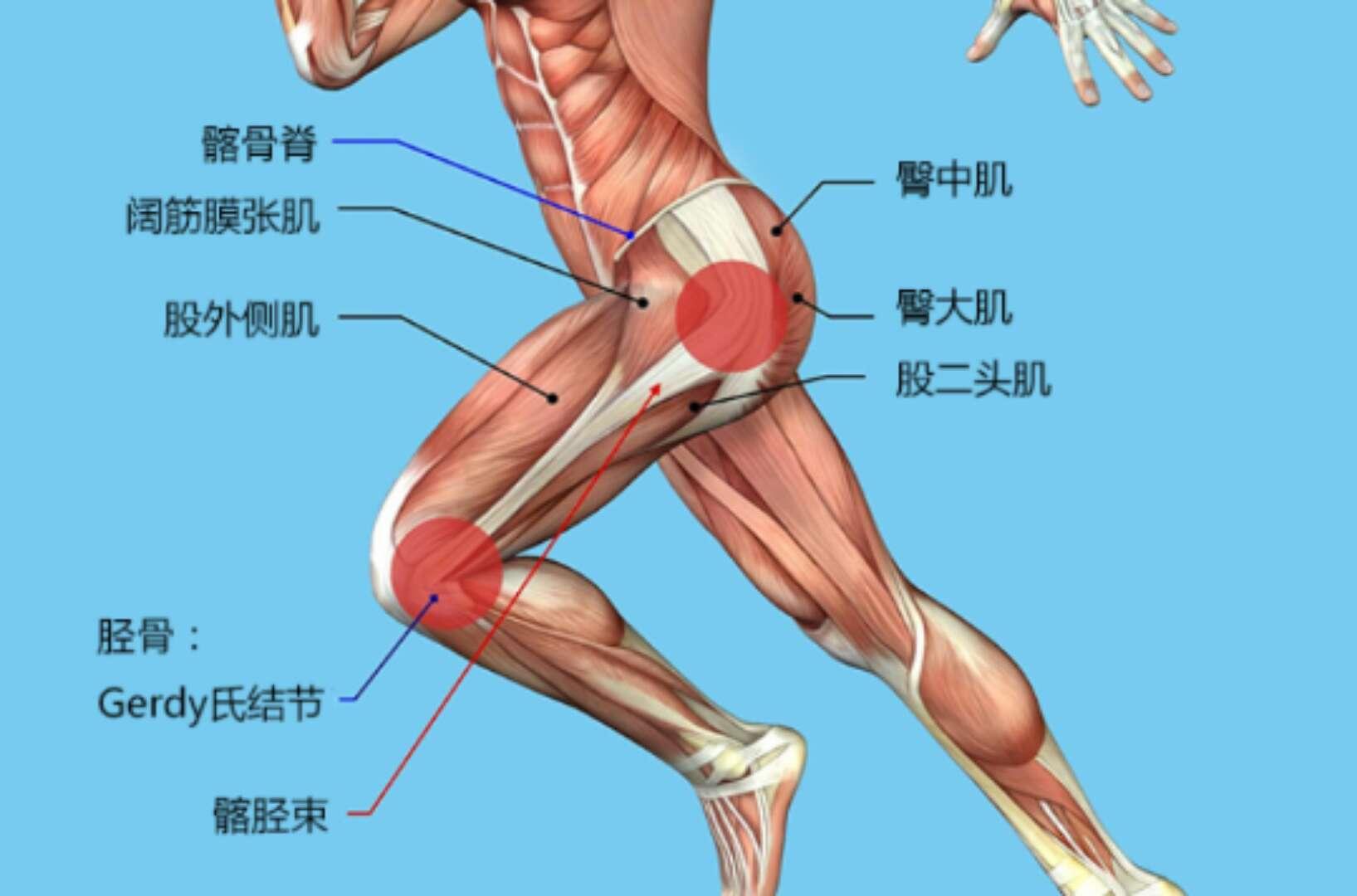 髂胫束症候群主要的症状是大腿外侧紧绷,这种紧绷感有两面性,一种出现
