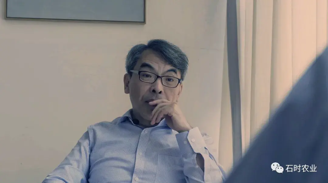 石时人物丨杨宁:畜禽行业的移山者 - 知乎