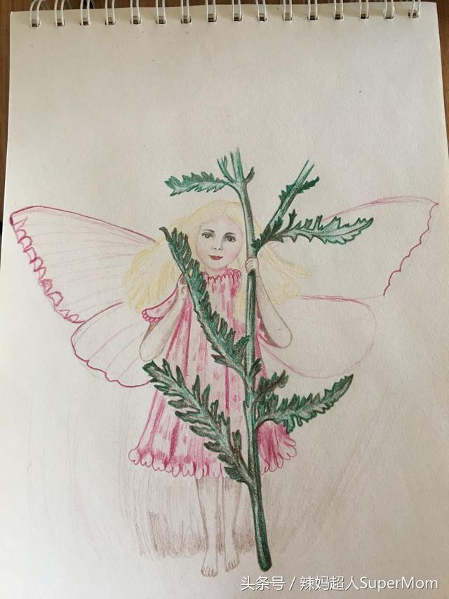 零基础彩铅画教程花仙子