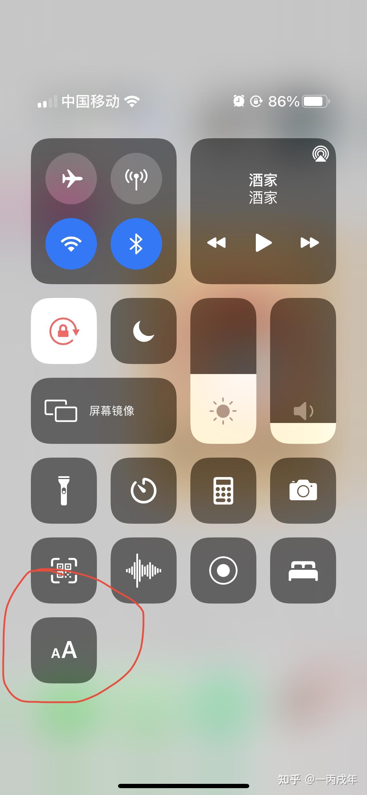 iphonexs默认字体是多大 第几格? - 知乎
