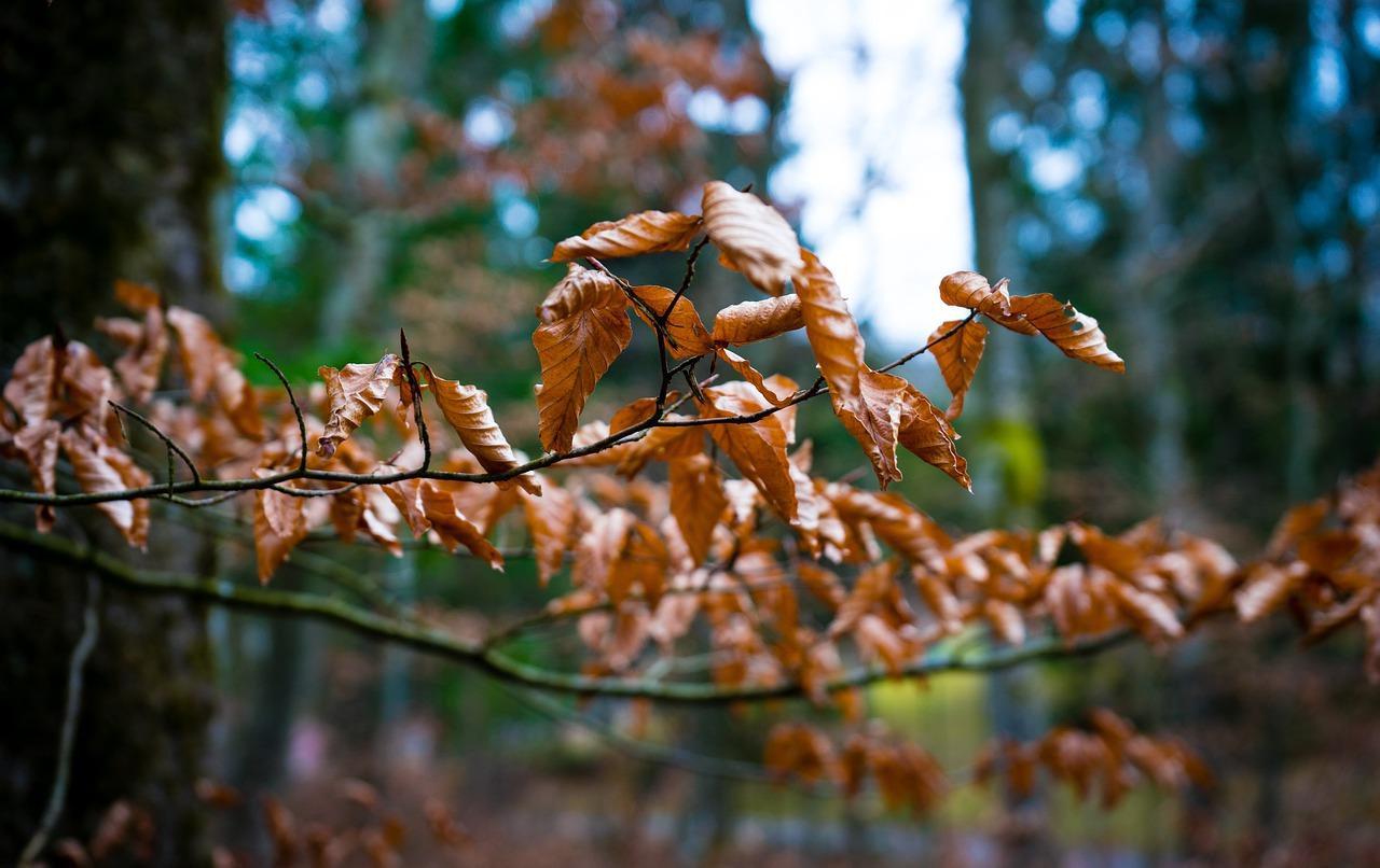 3. 肥料过量危害