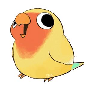 表情包:七彩鹦鹉摇头表情包 - 知乎