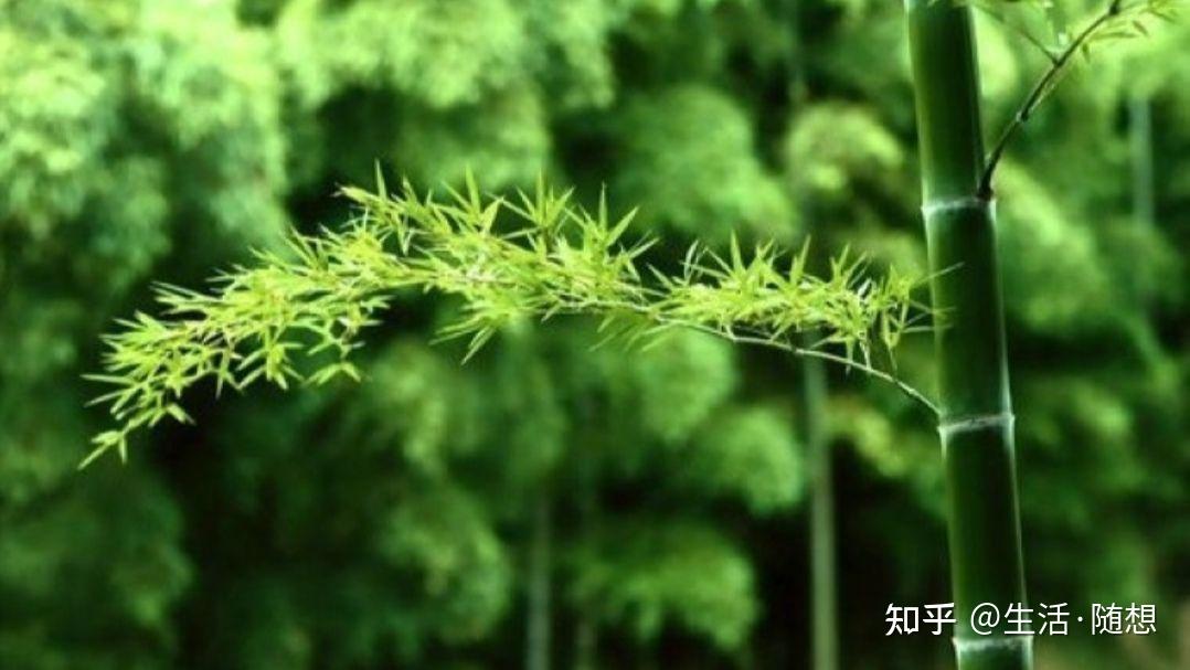 学会变通,学会观察 - 知乎