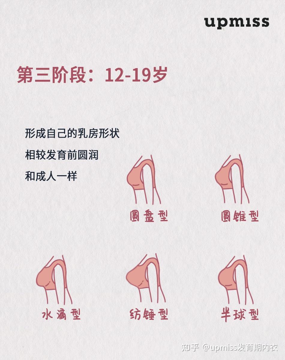 青春期女生,胸部发育知识这篇就够了! - 知乎