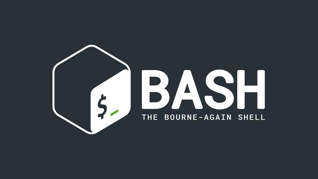怎样用bash 编程 循环 知乎