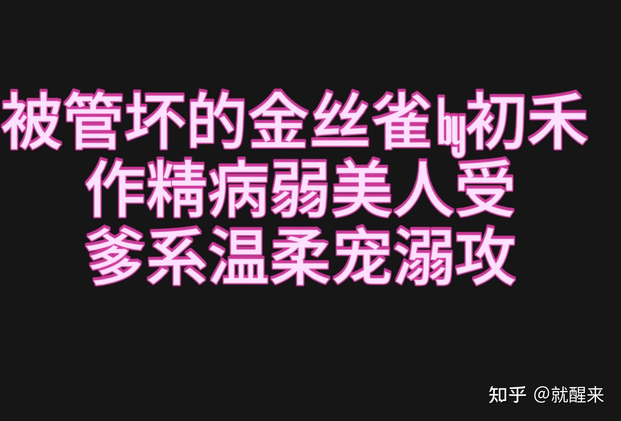 被管坏的金丝雀52