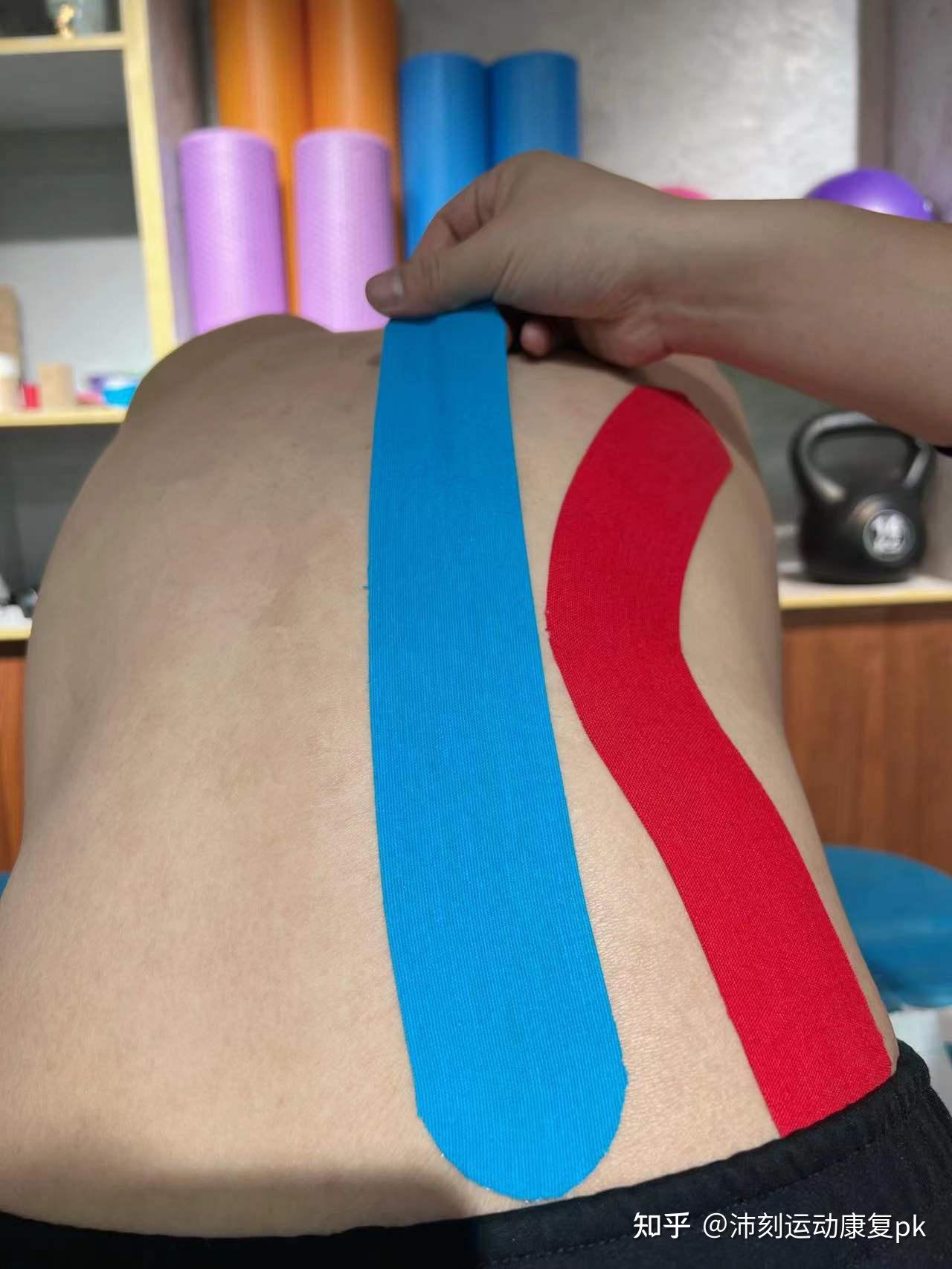 缘交接处,分别向两端施加30%的拉力,身体弯曲,使肌肉处在拉长的位置