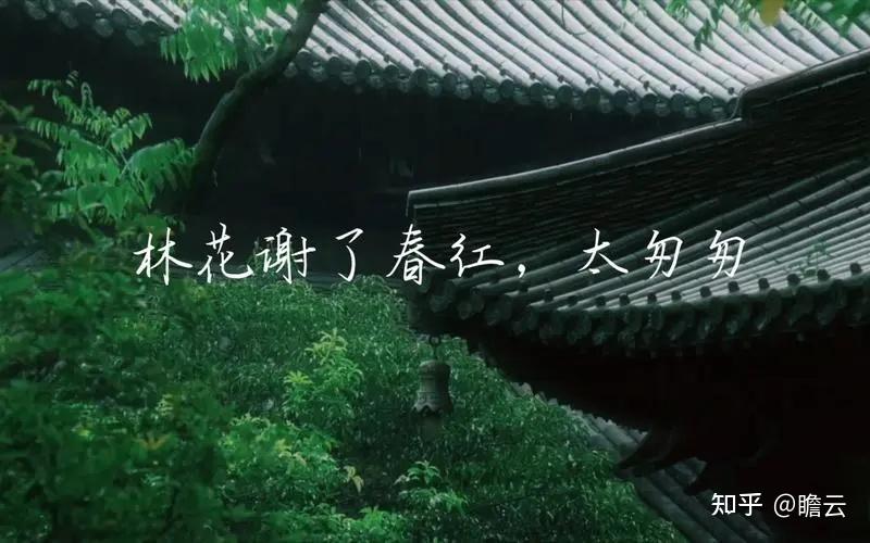 相见欢·林花谢了春红 - 知乎