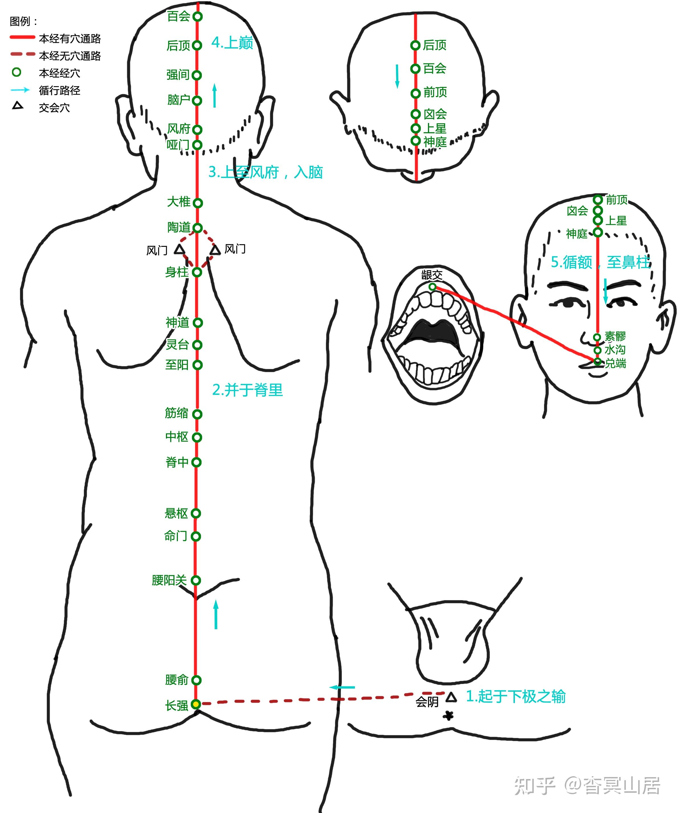 督脉对应的人体反射区图片