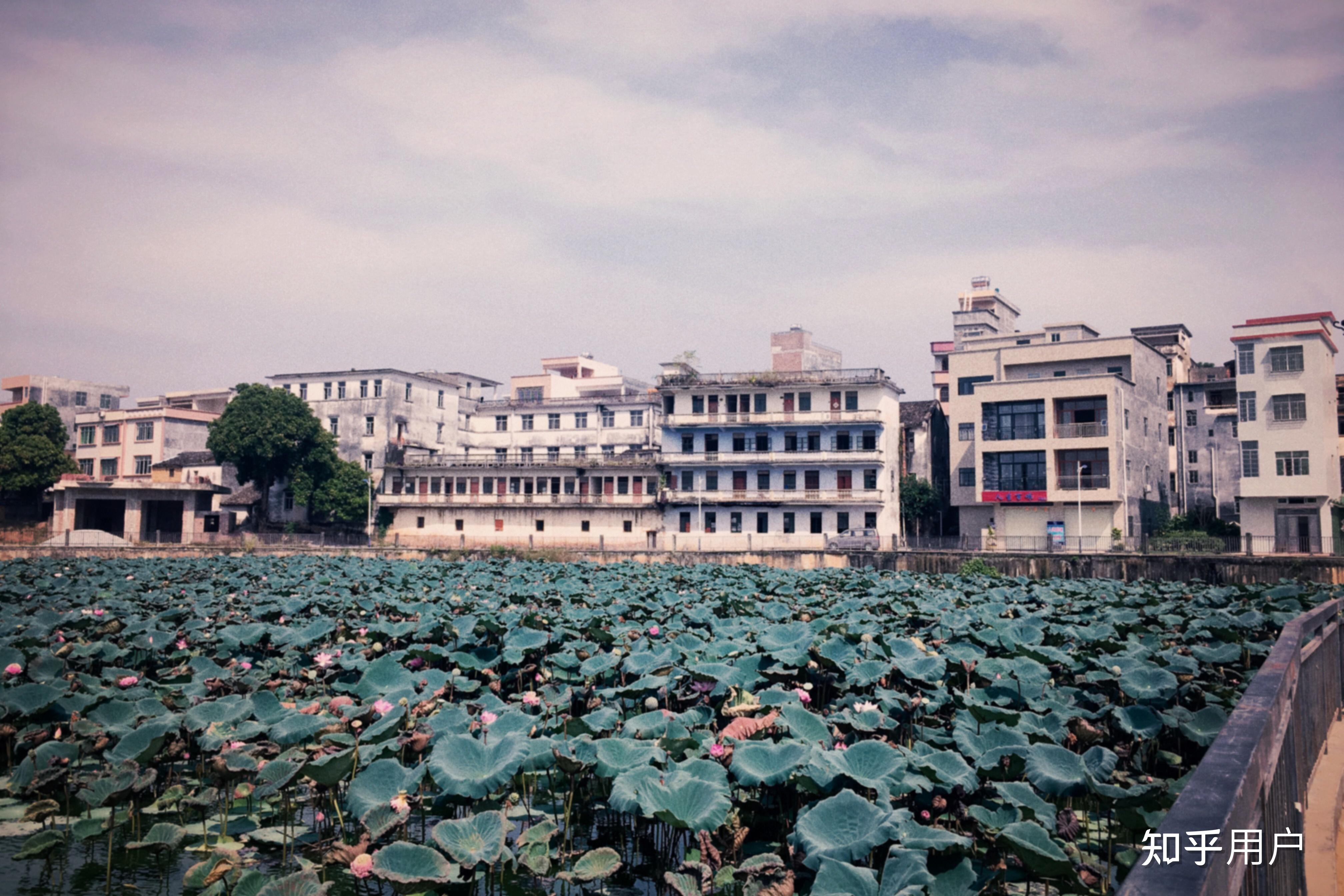 生活在广东罗定市罗镜镇怎么样? - 知乎