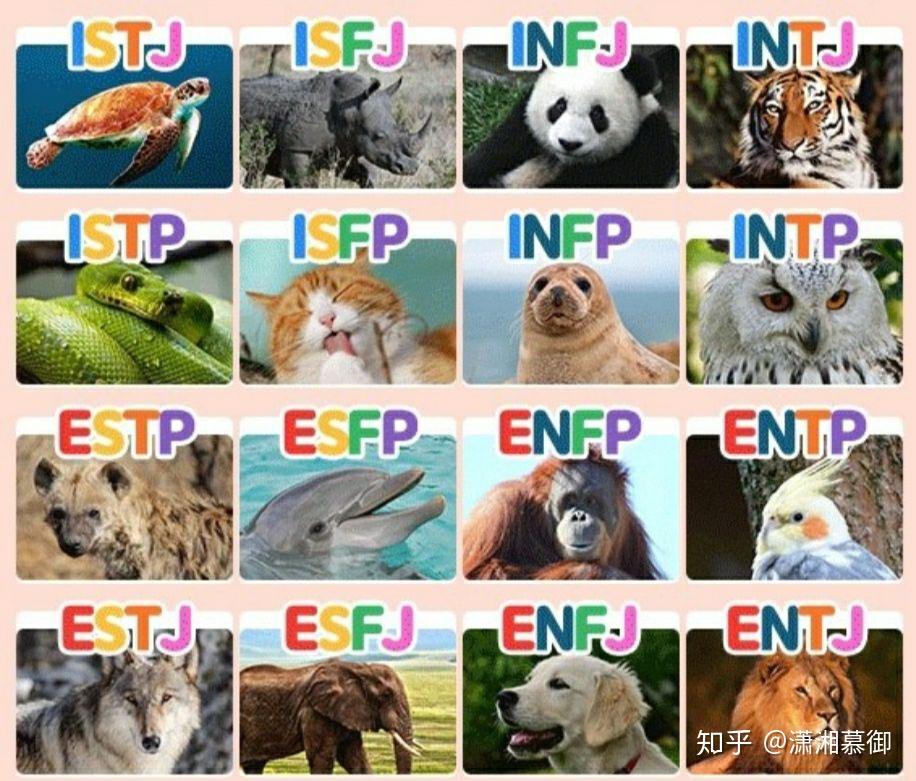 mbti/九型的各位把自己形象化为动物,你们觉得自己是哪种动物? - 知乎
