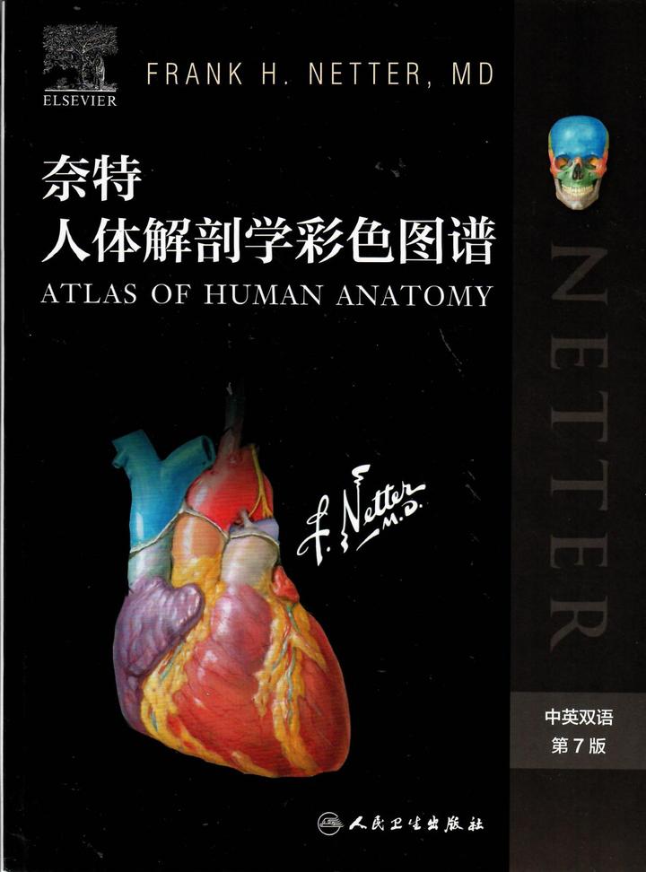 奈特netter人体解剖彩色图谱pdf电子版中英文版最新版第八版